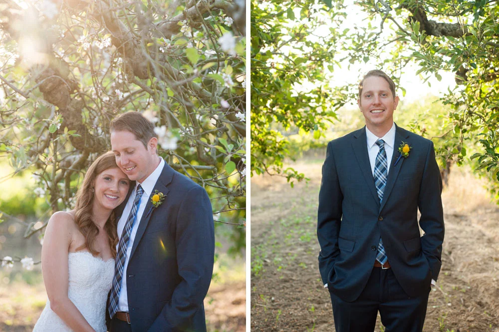 Bride and groom in an apple orchard in Sebastopol
