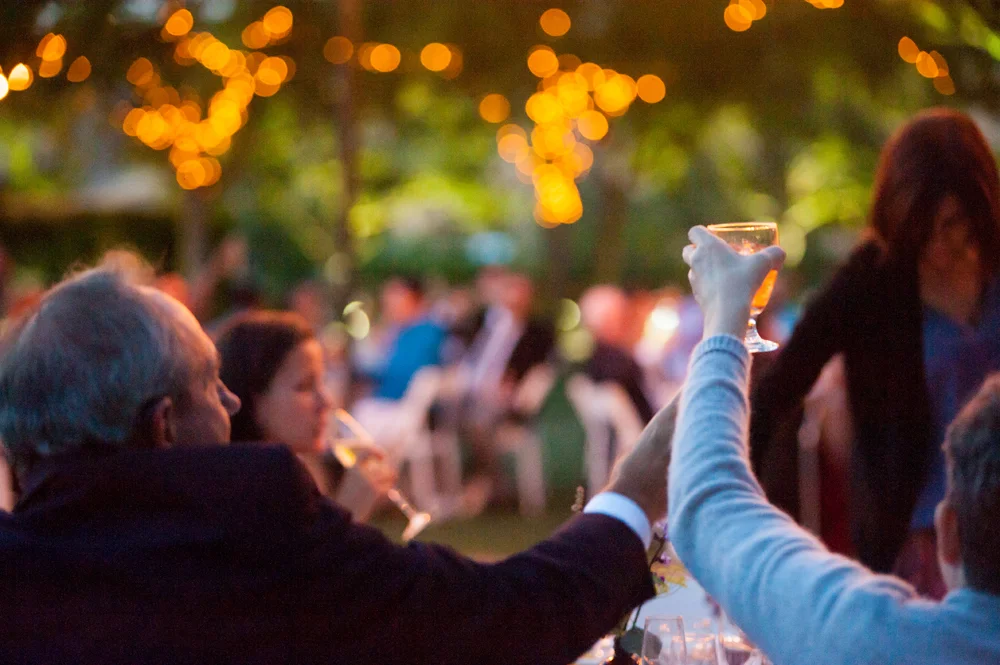 Wedding guests raising their glasses to the bride and groom
