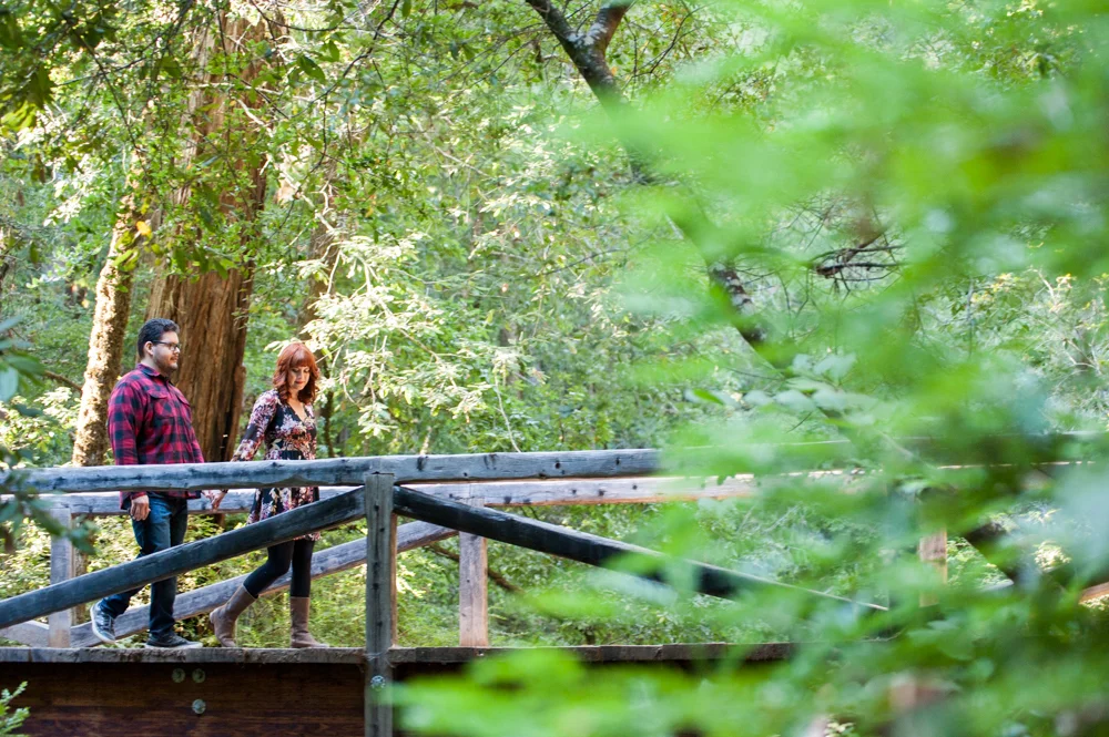 Big Basin State Park Engagement Session