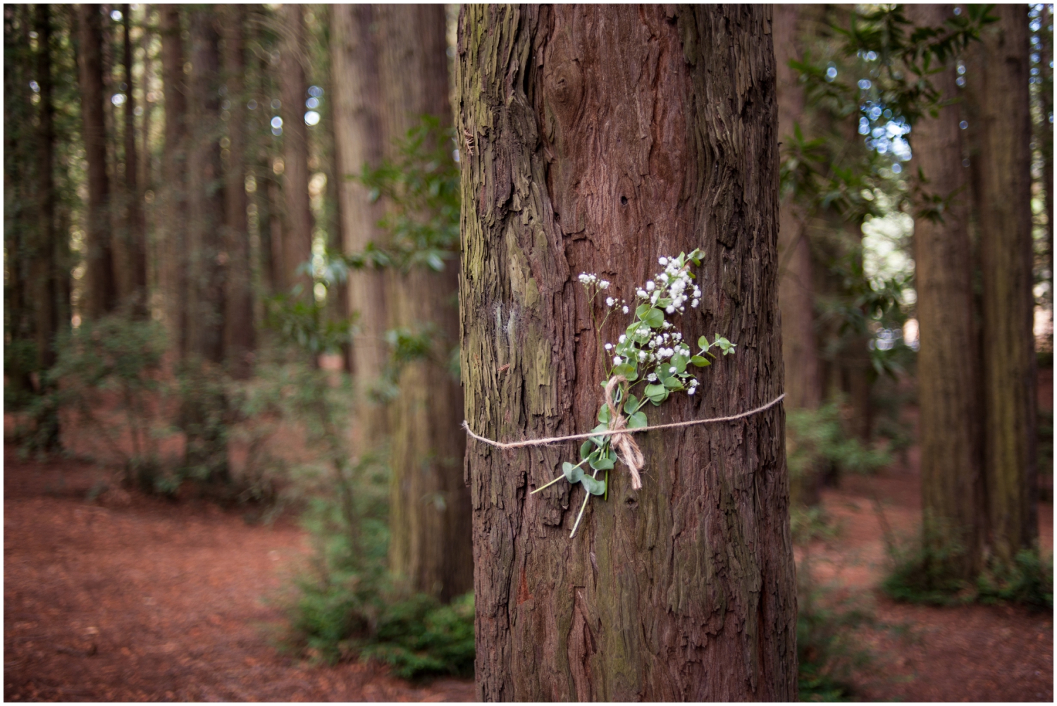 Rustic flower bouquet tied to redwood tree in the Oakland Hills