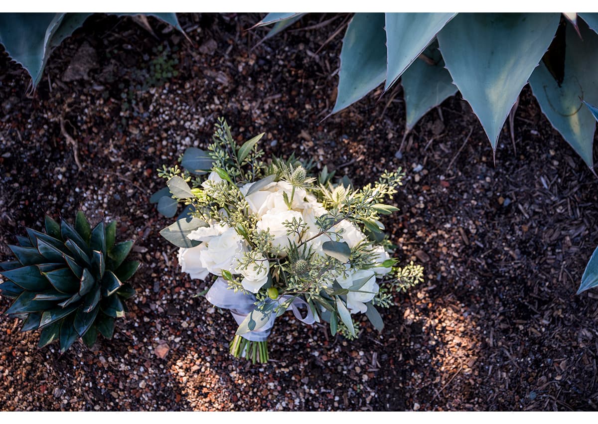 Bouquet of white roses lying next to succulents