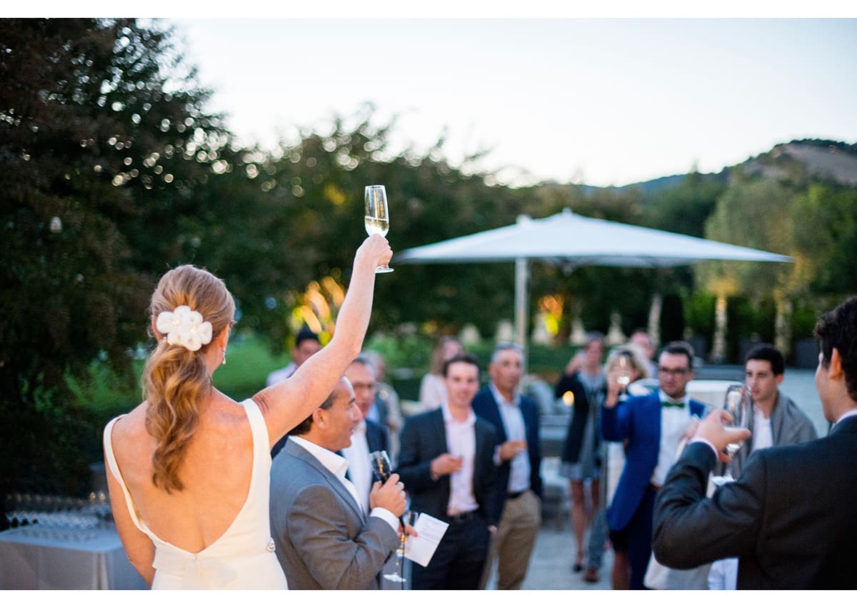 Bride raising her glass to wedding guests 