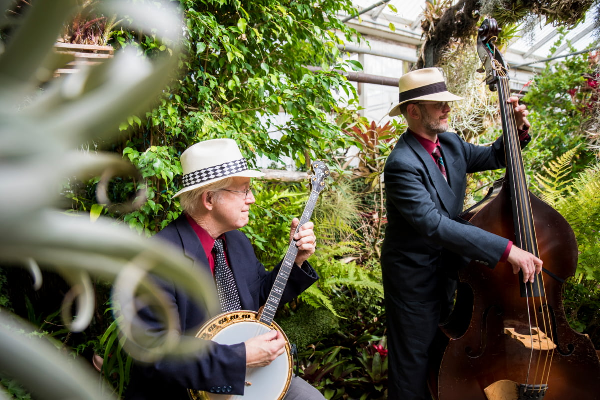 Campbell's Jazz Soup performing at wedding