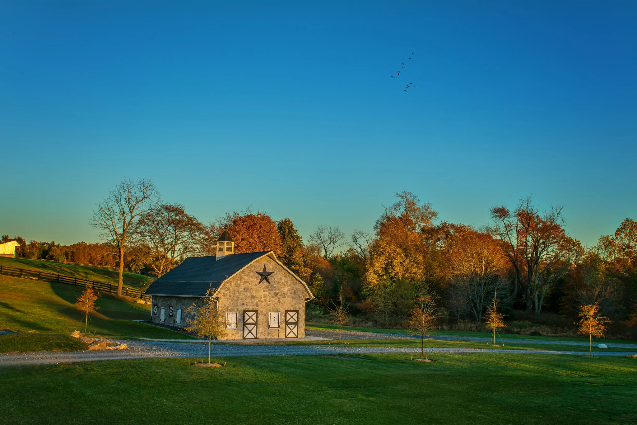 D71_7859.jpg