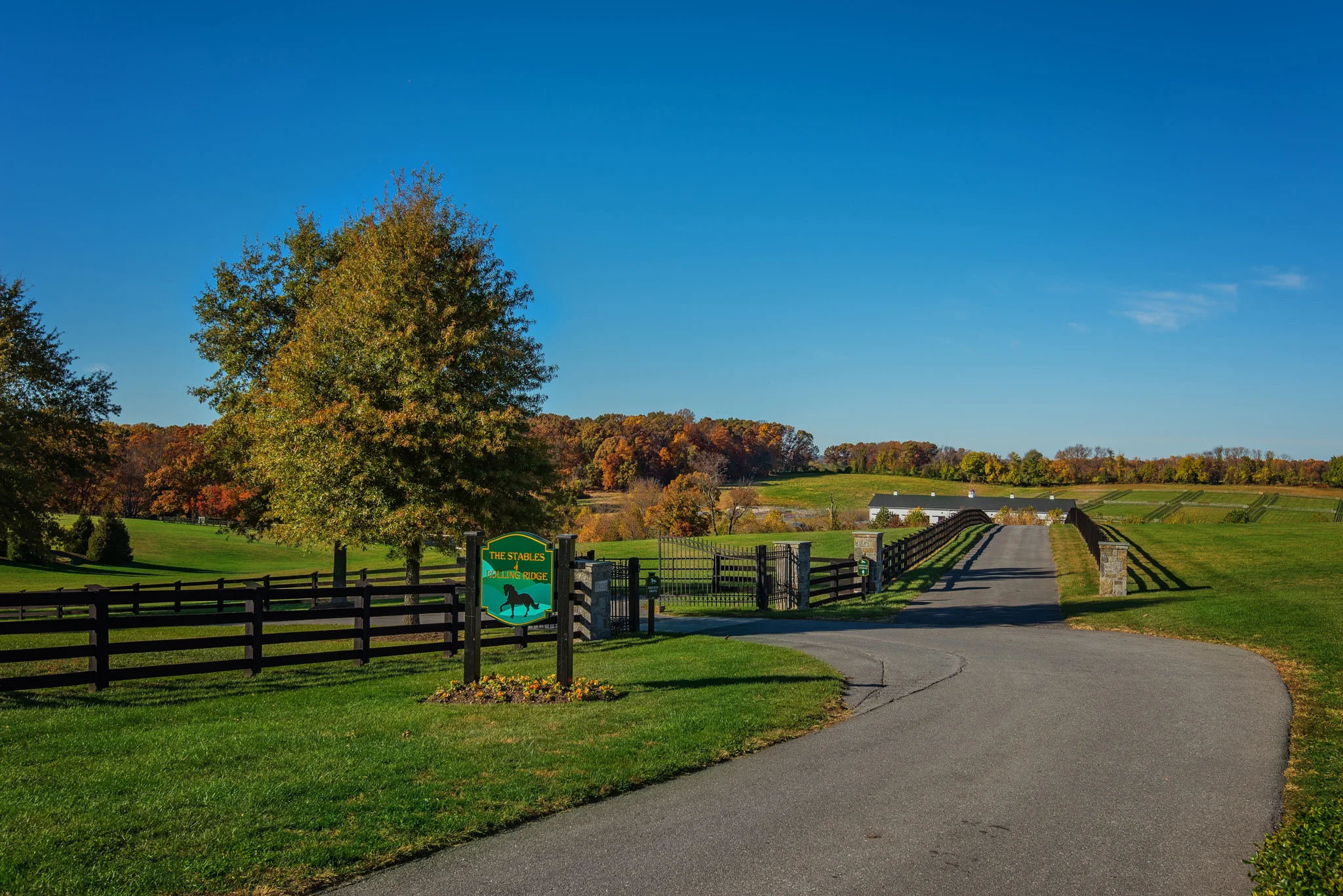 DSC_1496.jpg