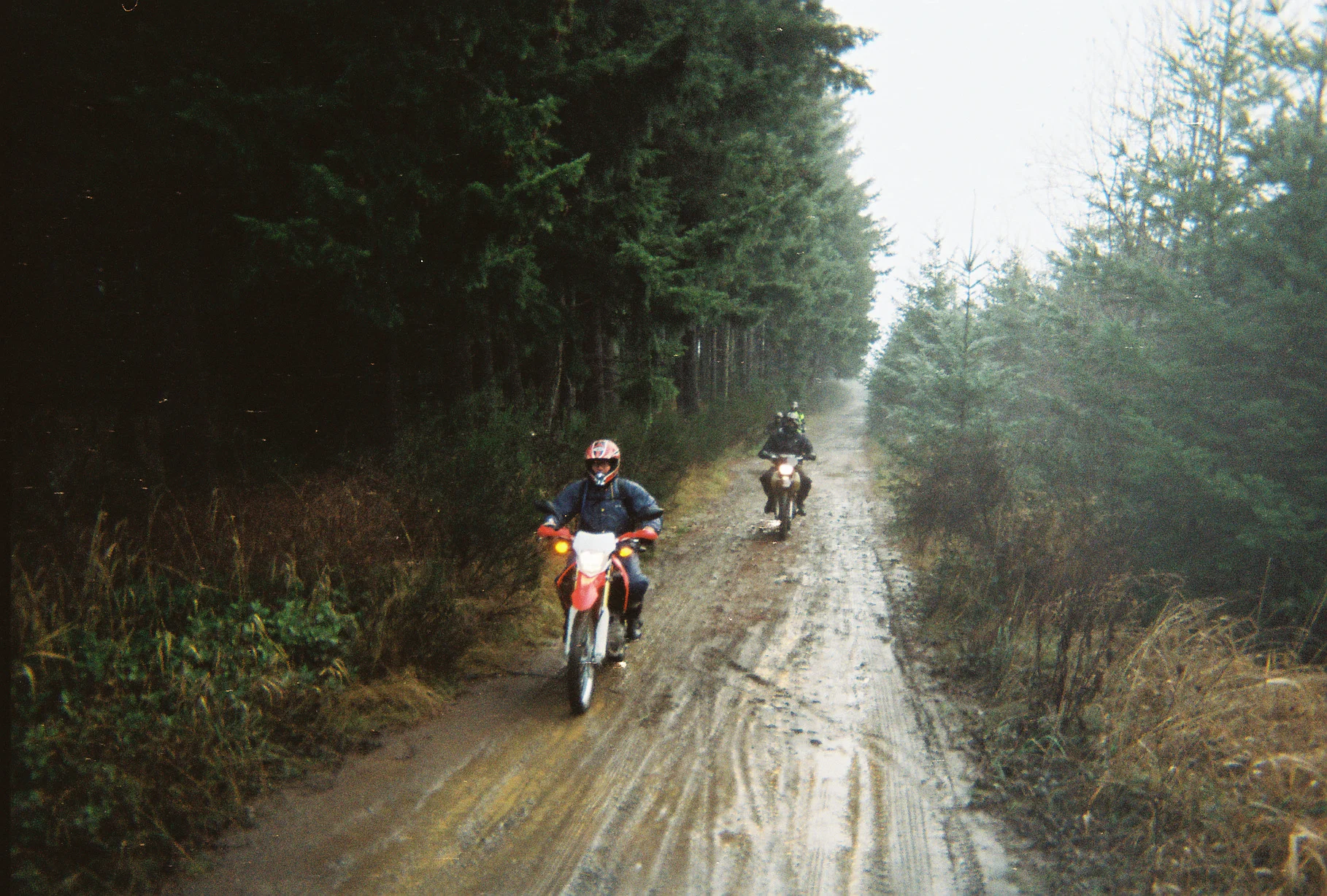 Back_40_04.jpg