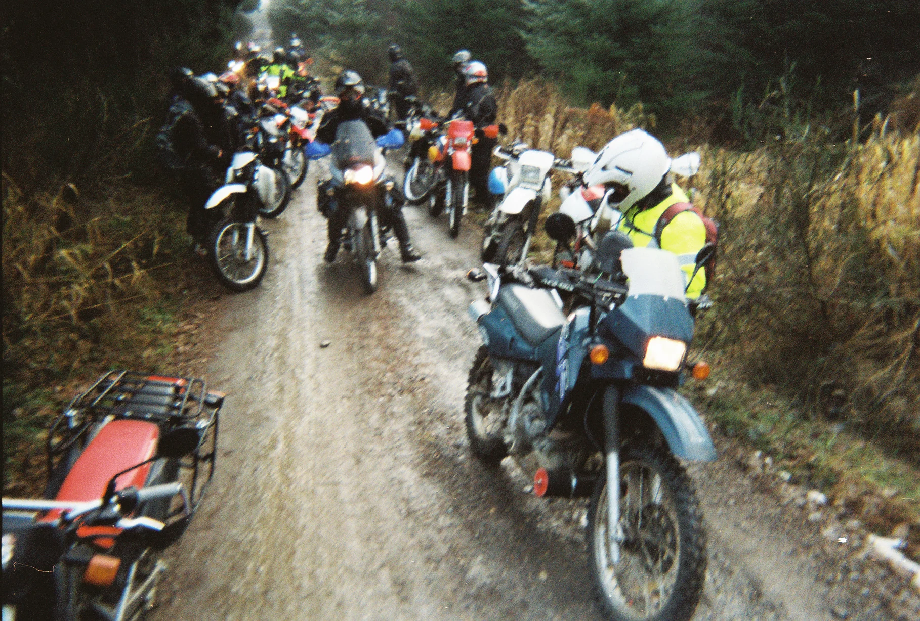 Back_40_09.jpg