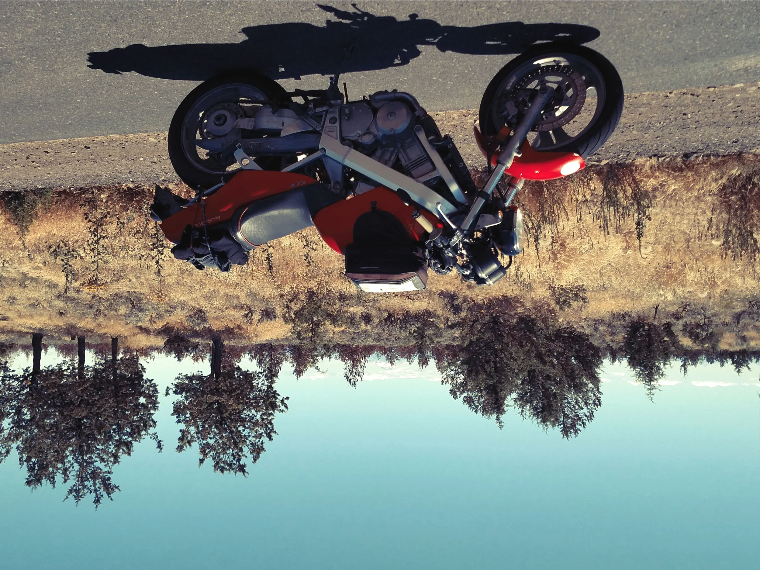 upside_down_hawk.jpg