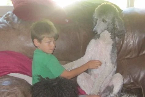 My Nephew, Wyatt and my girl, Aiko.