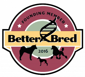 BBlogoFoundingMember.png