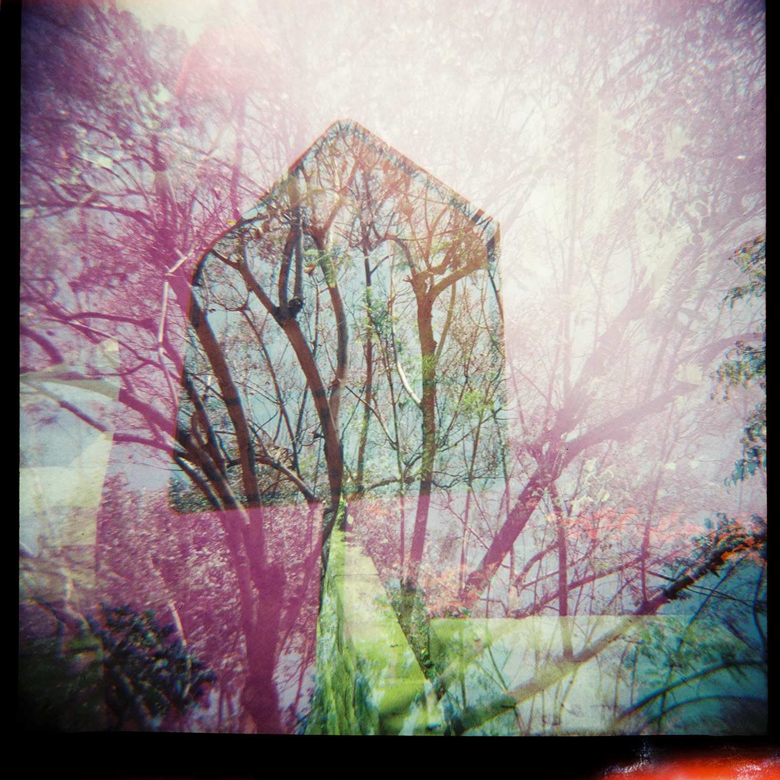 Sophia, Low-Fi/Analog