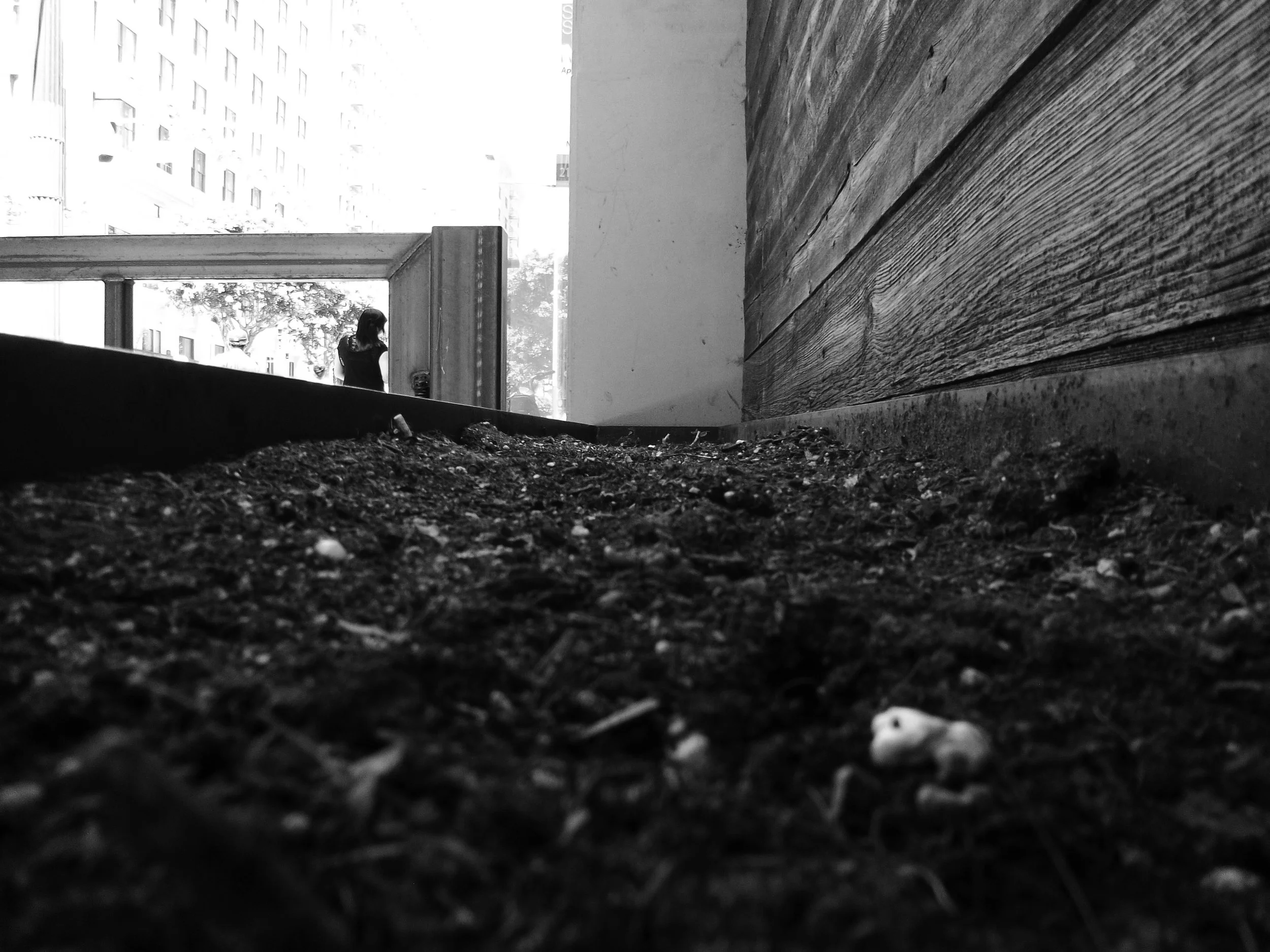 Jonathan, Street Photography