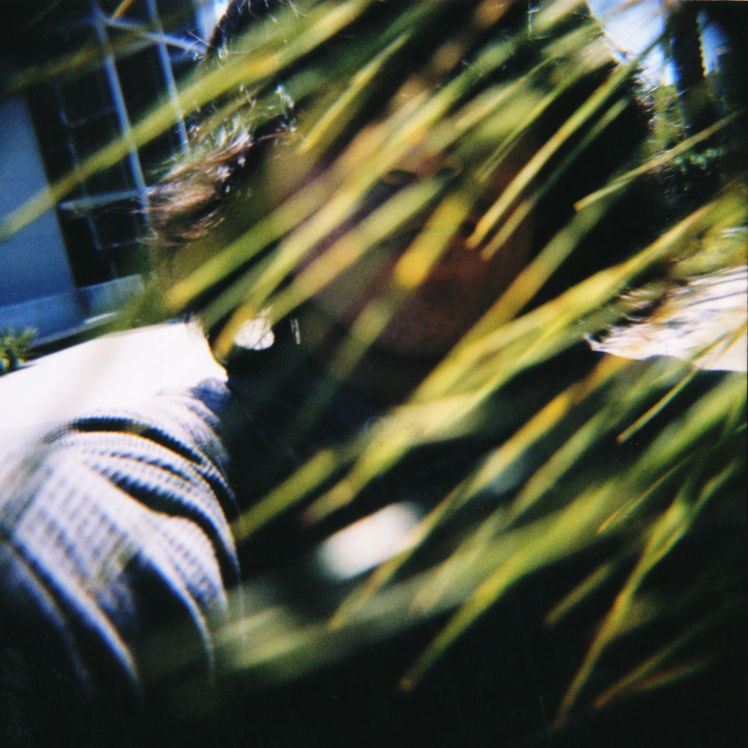 Leonardo, "Low-Fi/Analog"