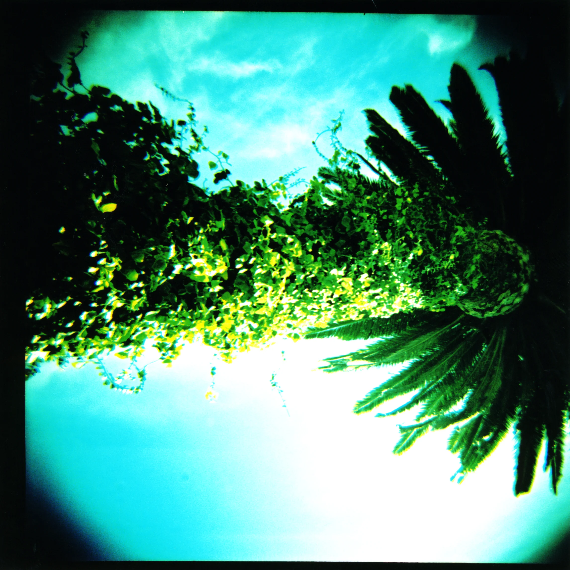 Northia, "Low-Fi/Analog"