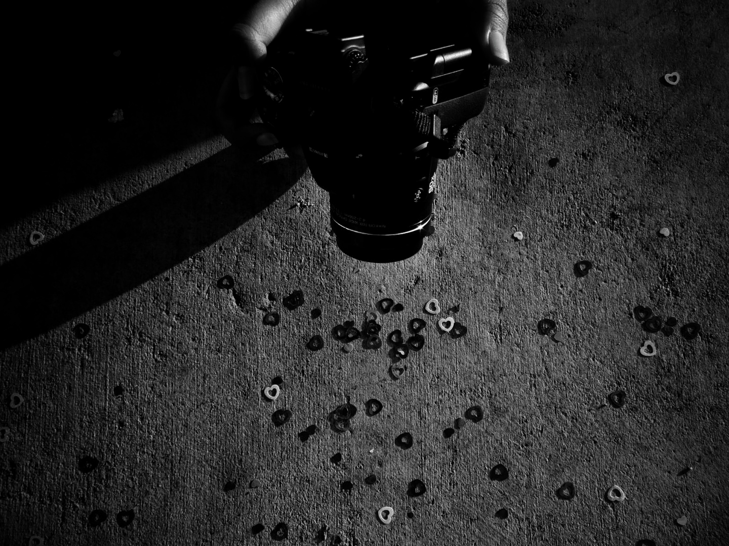 DSCN1676-01-01.jpeg