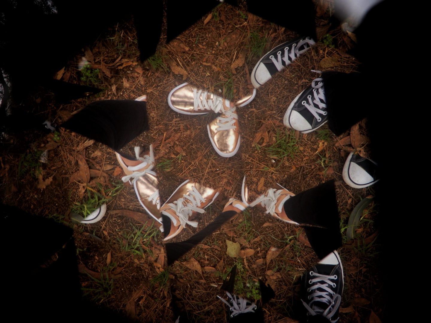 DSCN1785-01.jpeg
