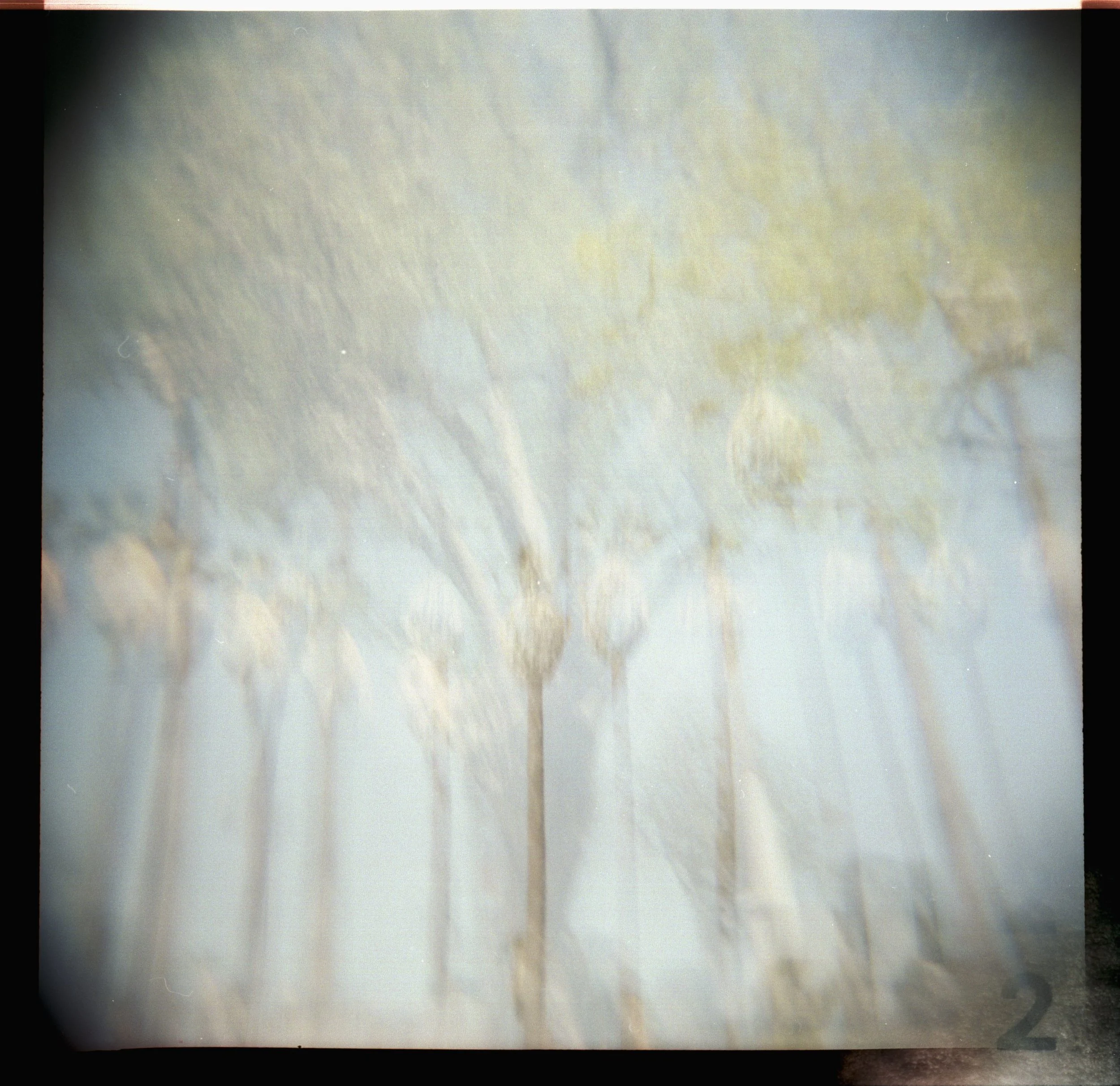 Jocelyn, Going Analog