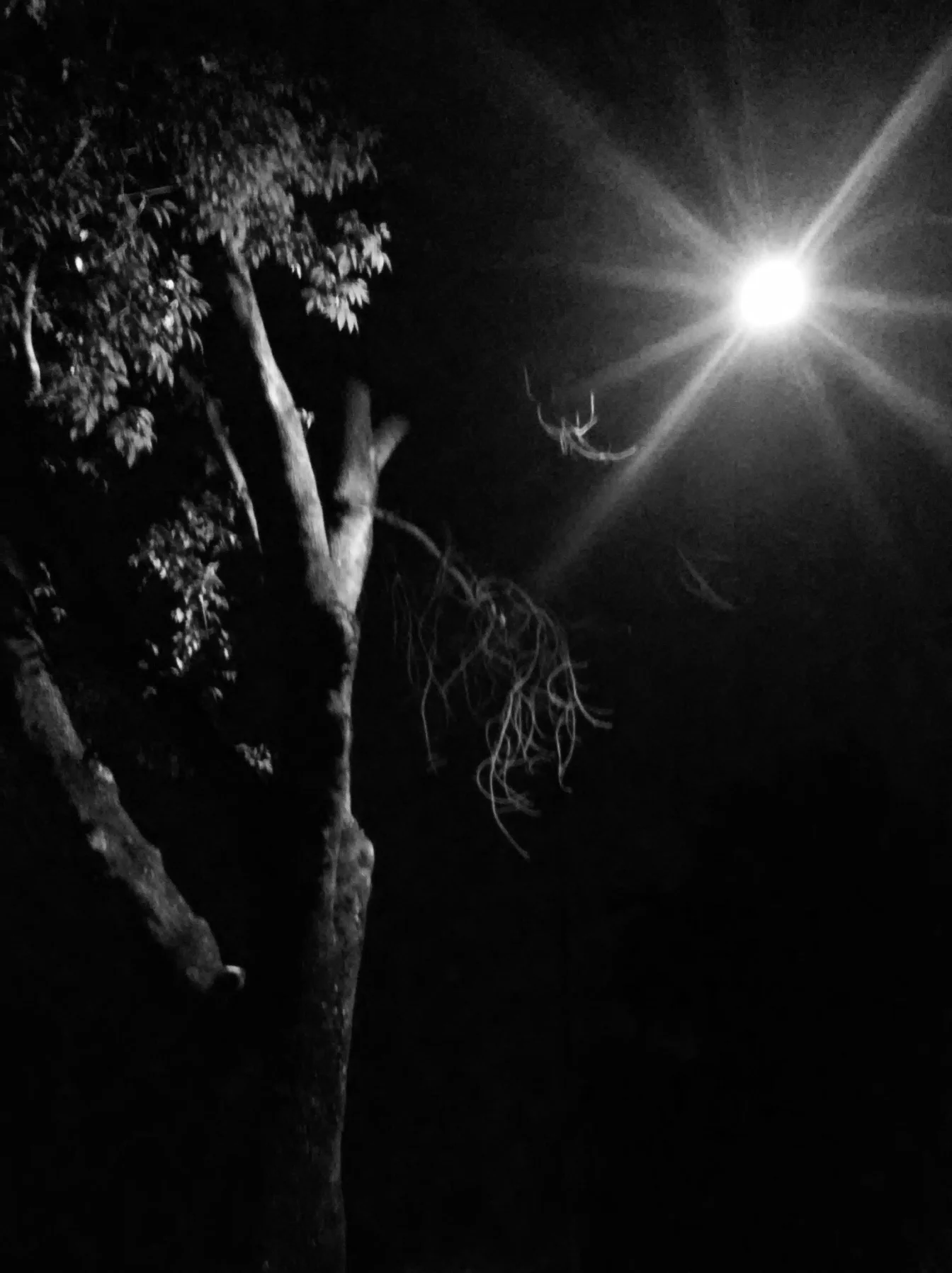 20180321_231550.jpg