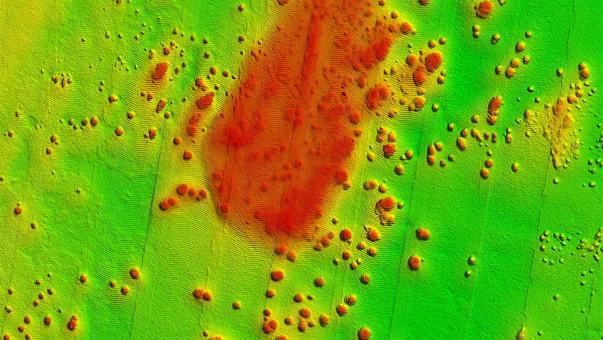 Coral Heads Detail (Miami-Biscayne CMOR Card)