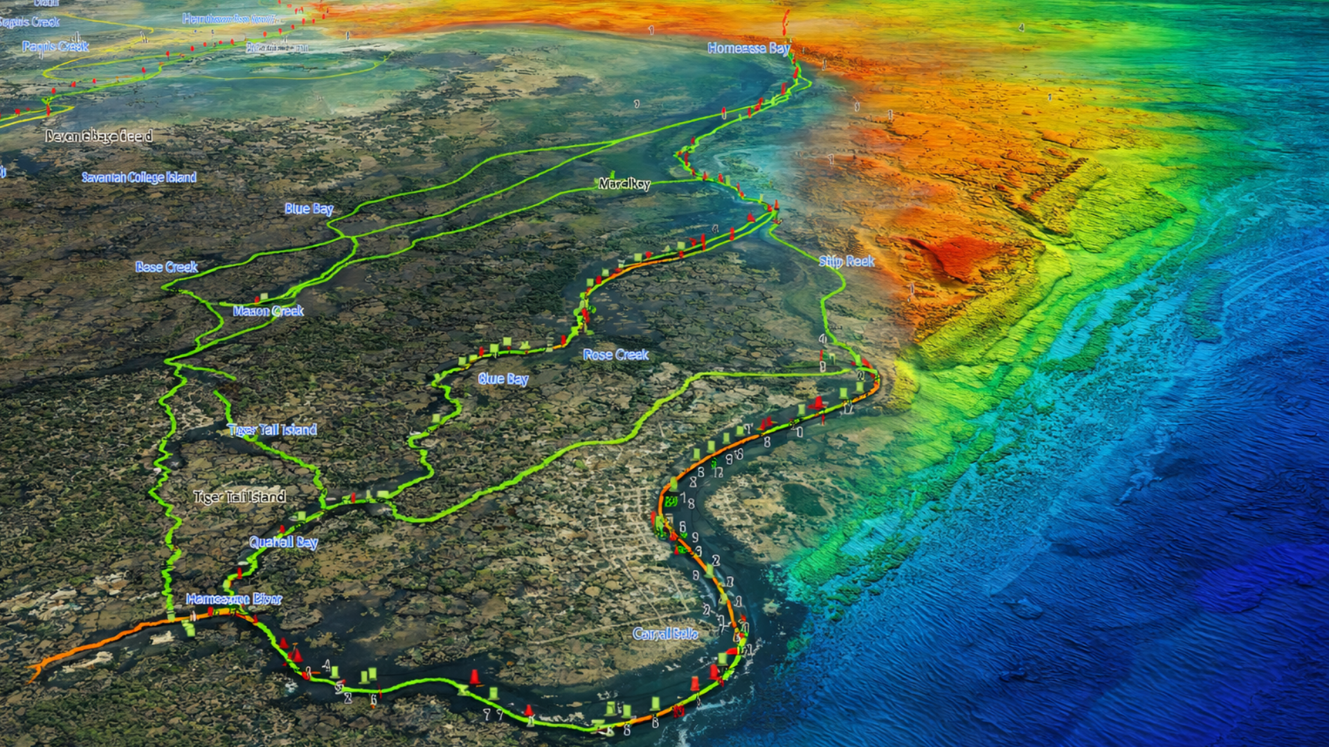 Untitled design (42).png