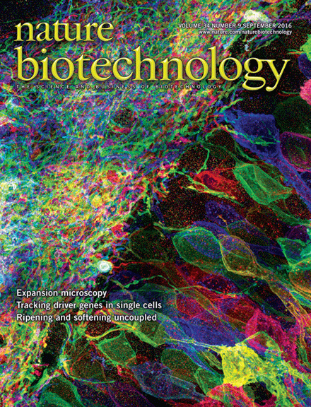 nature-biotech-cover.gif