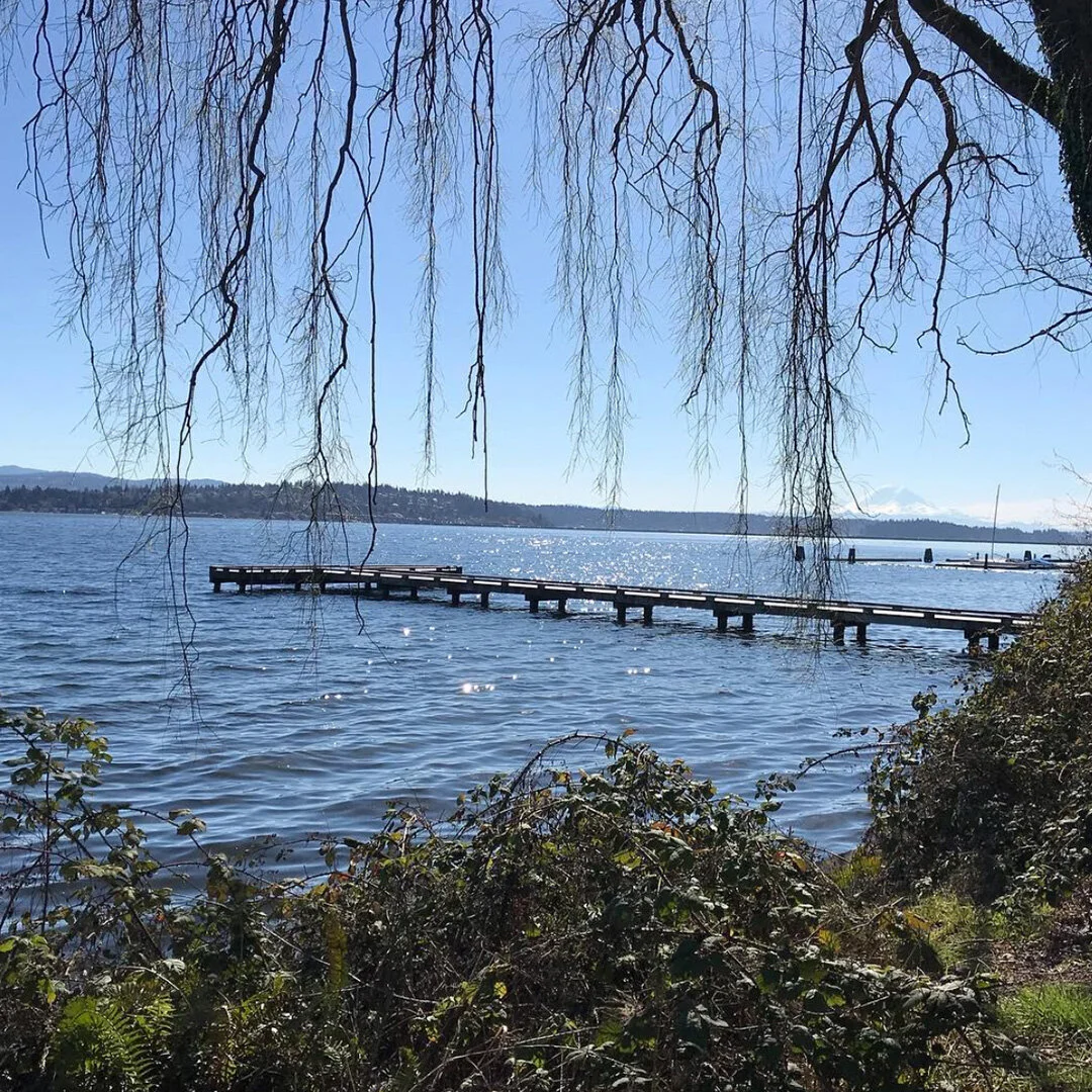 Madrona Park