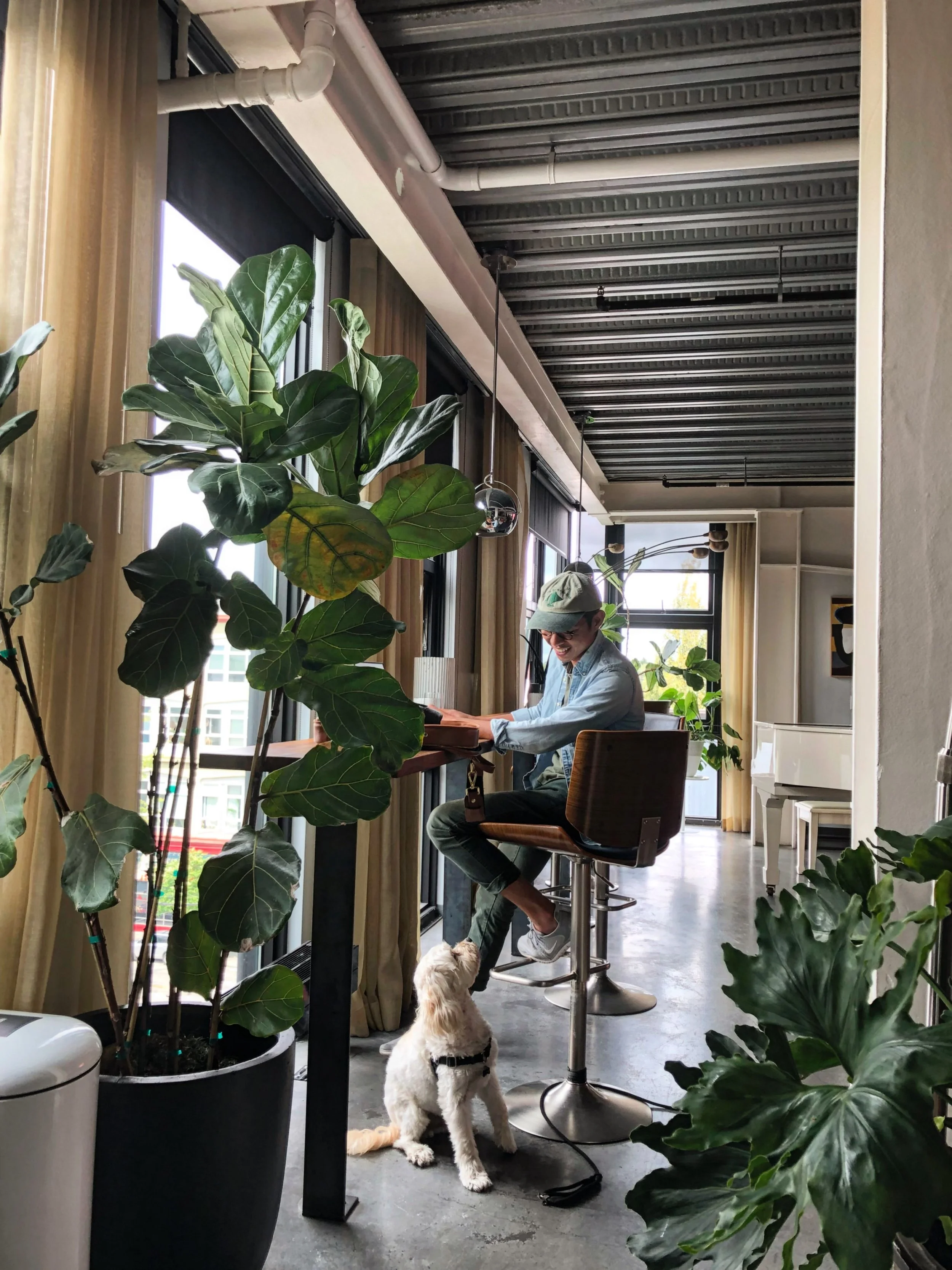 Bring your favorite coworker to the office 🐾

Dogs are always welcome at The Cloud Room. Book a day pass and come work with us 🐶💼