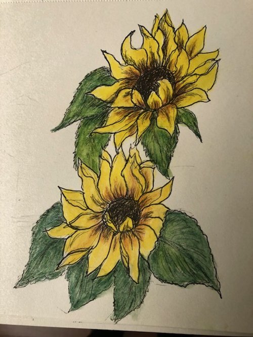 Sunflower card.jpg