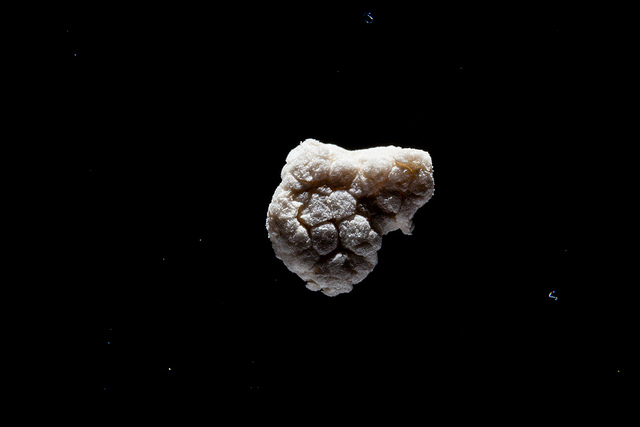 Microplastics from the Patapsco River