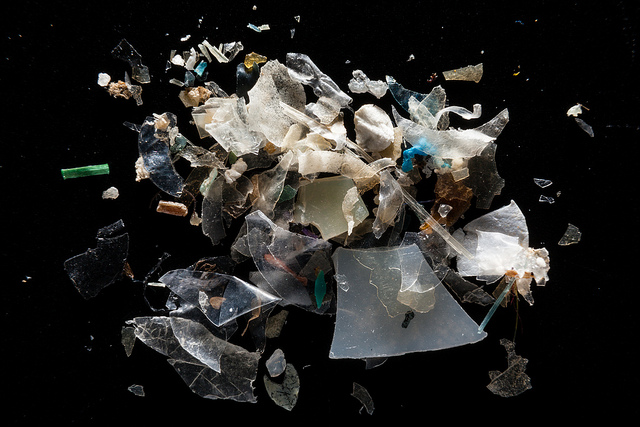 Microplastics from the Magothy River 