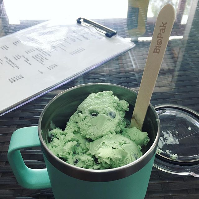 My to go mug keeps my ice cream cool and #zerowaste!

Usually I get my ice cream in cones but I couldn&rsquo;t resist having some mint chip packed into my @yeti to go coffee mug and trying out this @biopak.au birch wood spoon! 
@plasticfreemermaid ju