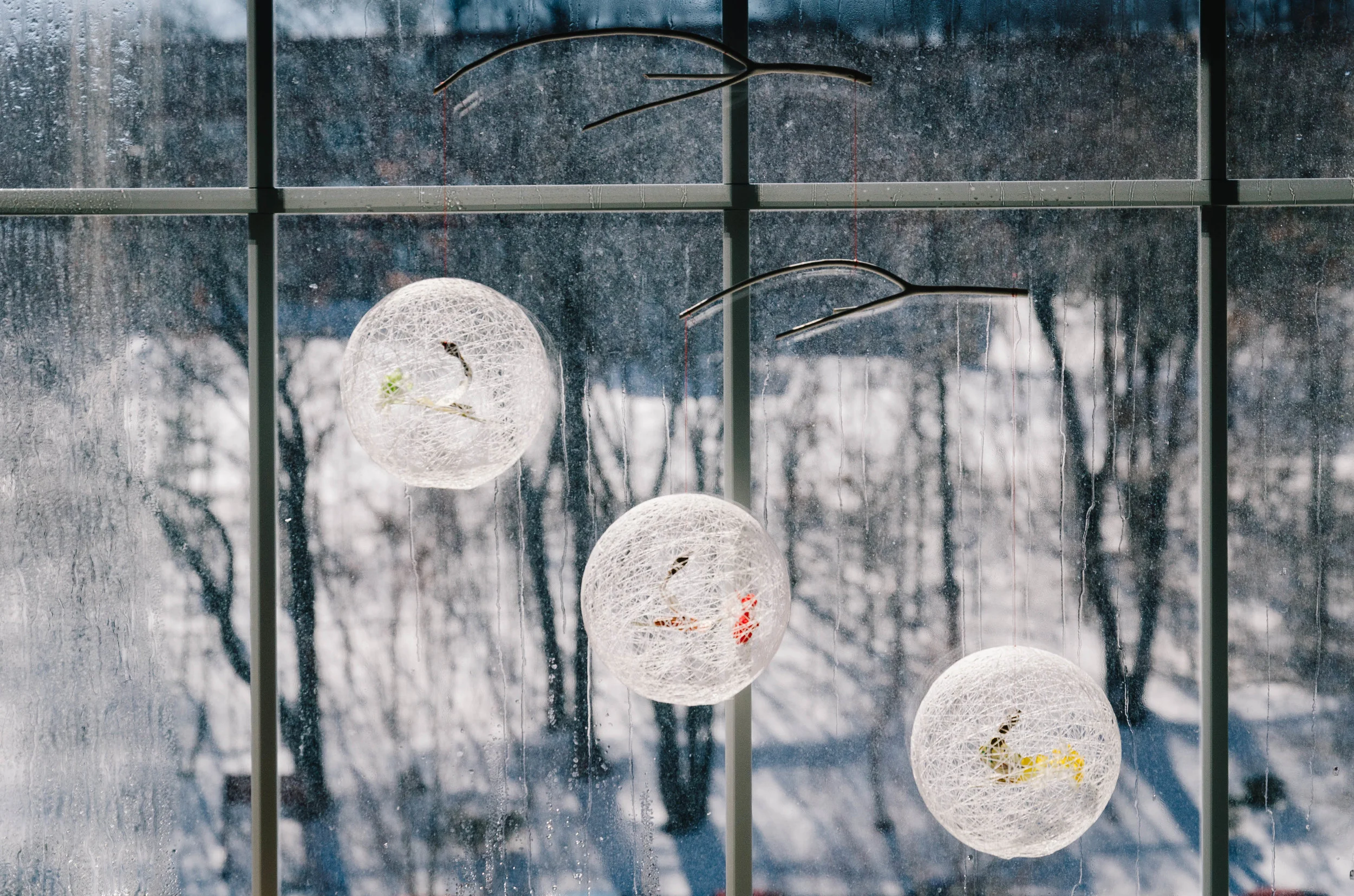 FishGlobes.jpg