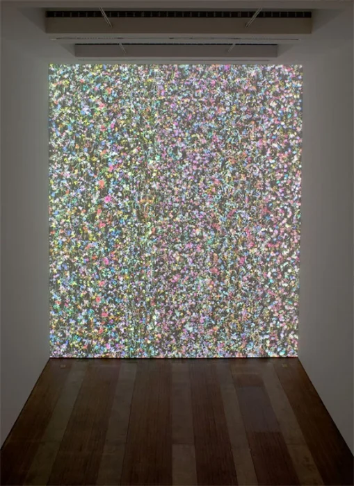 JS-LM11747 Daisy Bell Entire Year (LMG 2008) 05.jpg