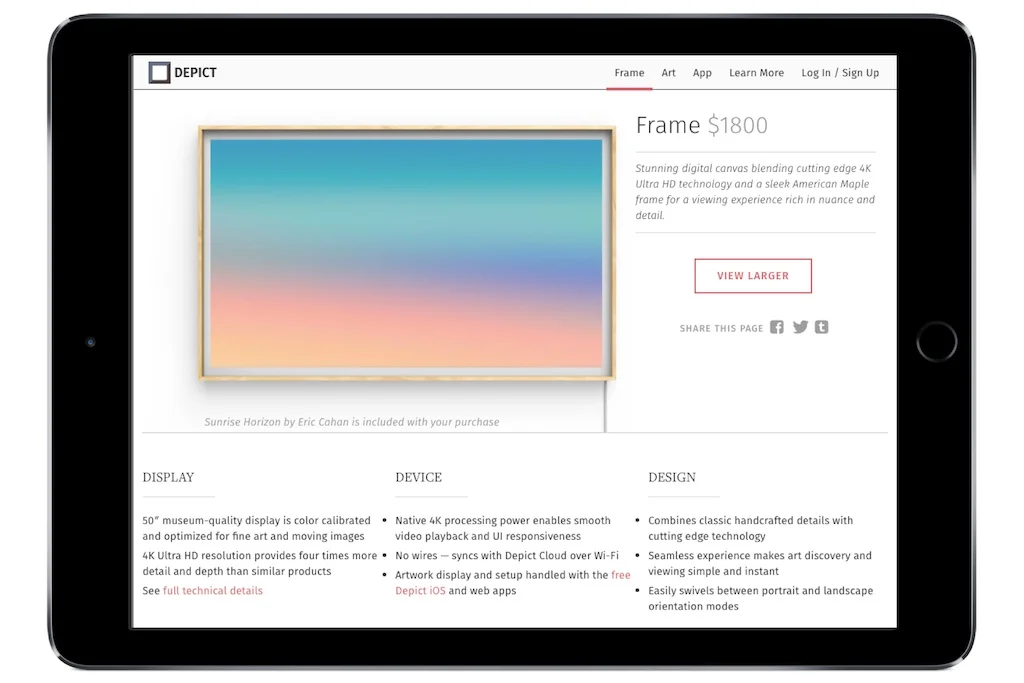 Depict Frame — Amanda Schneider