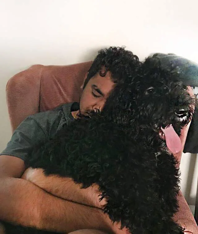 Lap Dogs. haha