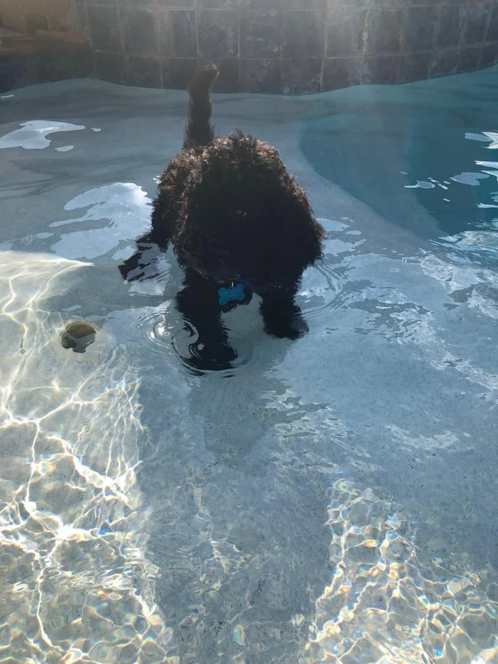 Going for a swim!