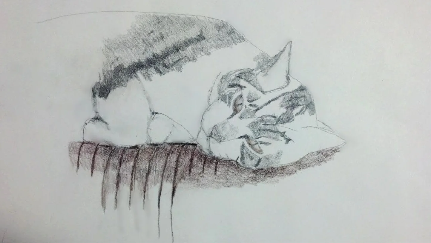 "Cat on A Hot Afternoon", pencil, 2017, 14" x 12" 