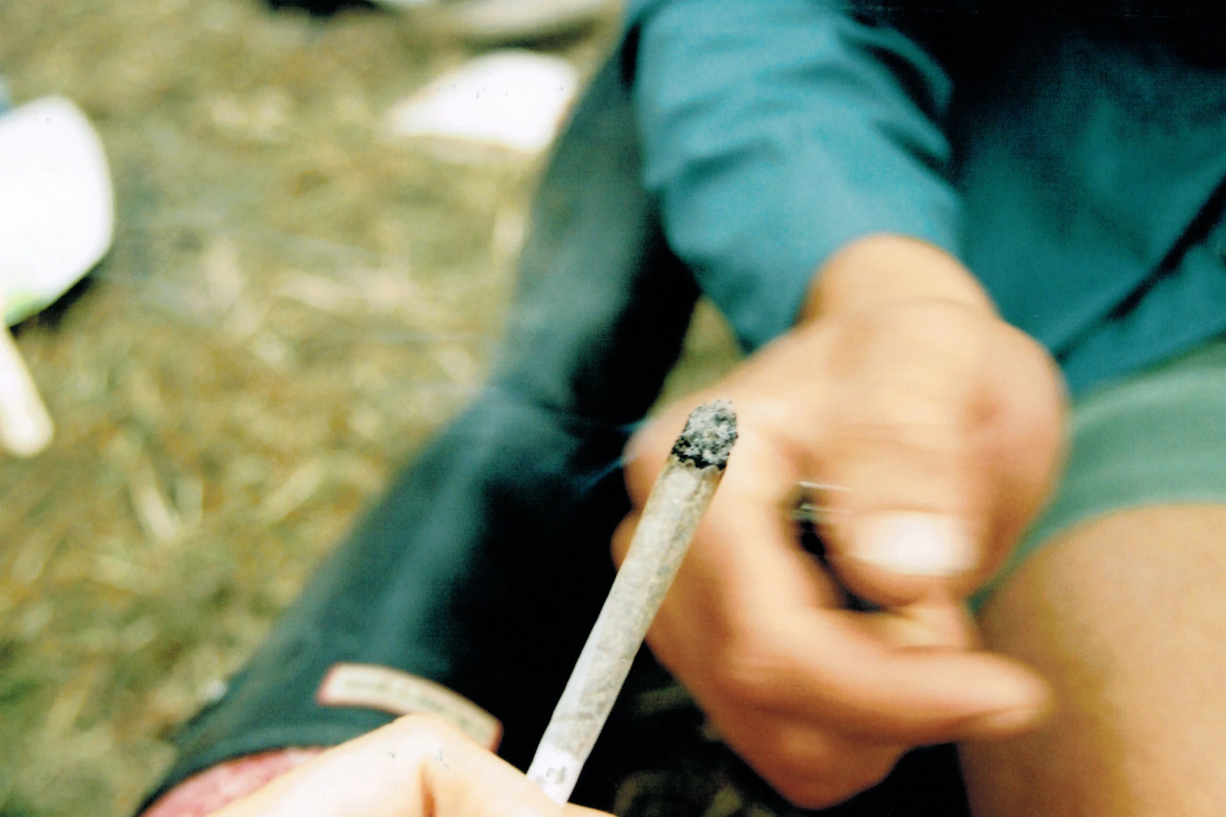 glasto - joint.jpg