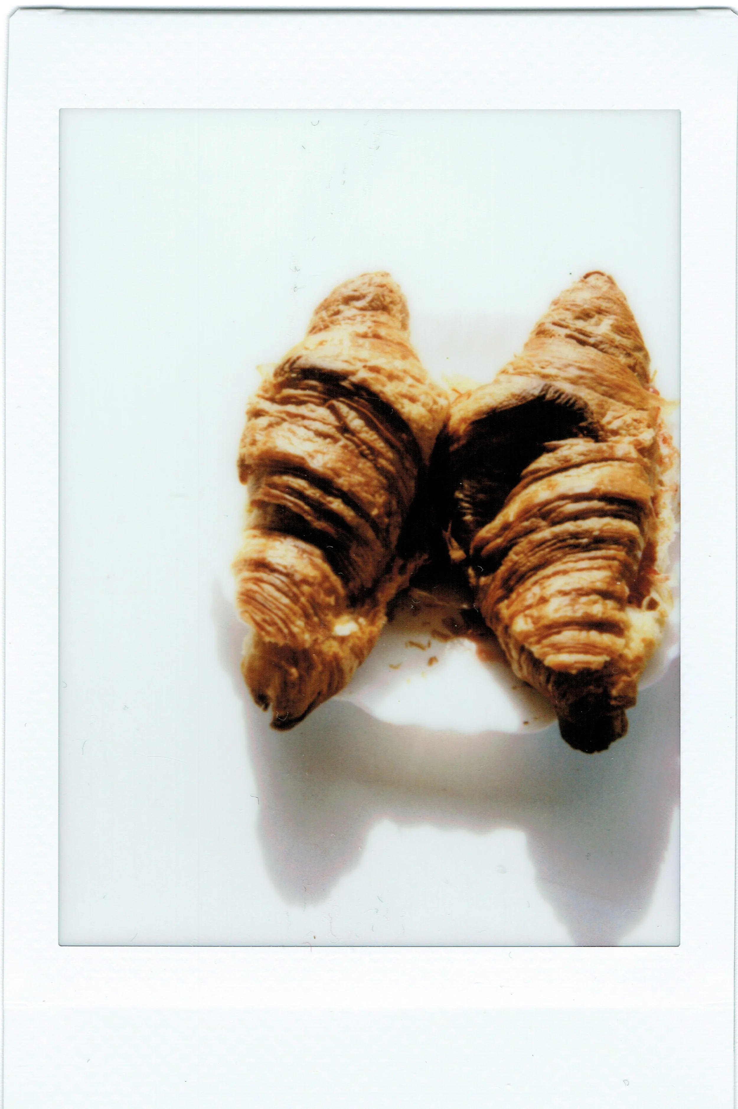 Scan 19.jpeg