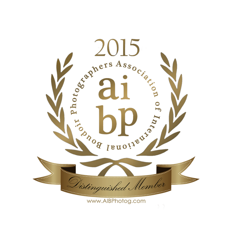AIBP Distingquished Member Seal 2015.png
