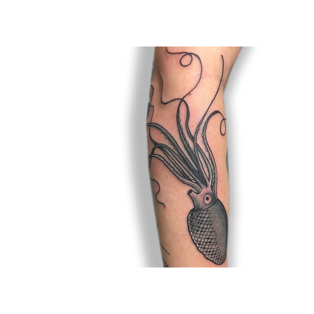Squid.png