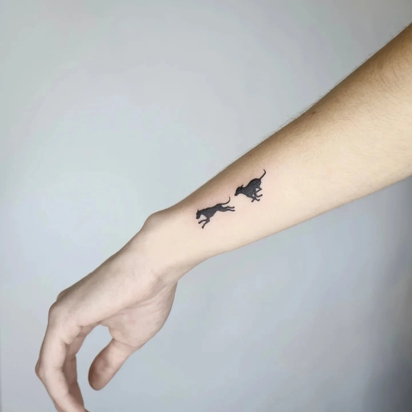 Custom silhouette tattoo of her two weimaraner dogs!! Love this idea so much ❤️ thank you for your trust E!!
.
#dogtattoo #pettattoo #minimaltattoo #animaltattoo #silhouettetattoo #blacktattoo #brooklyntattoo #newyorkcitytattoo