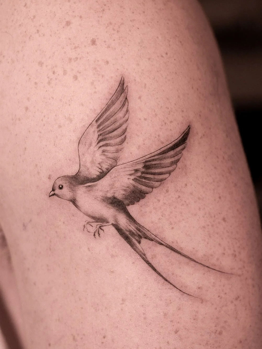 Illustrative version of a swallows# flying for @arihorvitz 

Done at @nicetattooparlor 
.
.
.
.
.
#nicetattoo finelinetattoo #swallowtattoo #birdtattoo #tinytattoo #minimalisttattoo #daintytattoo #lineworktattoo #finelineart #eleganttattoo
#tattooins