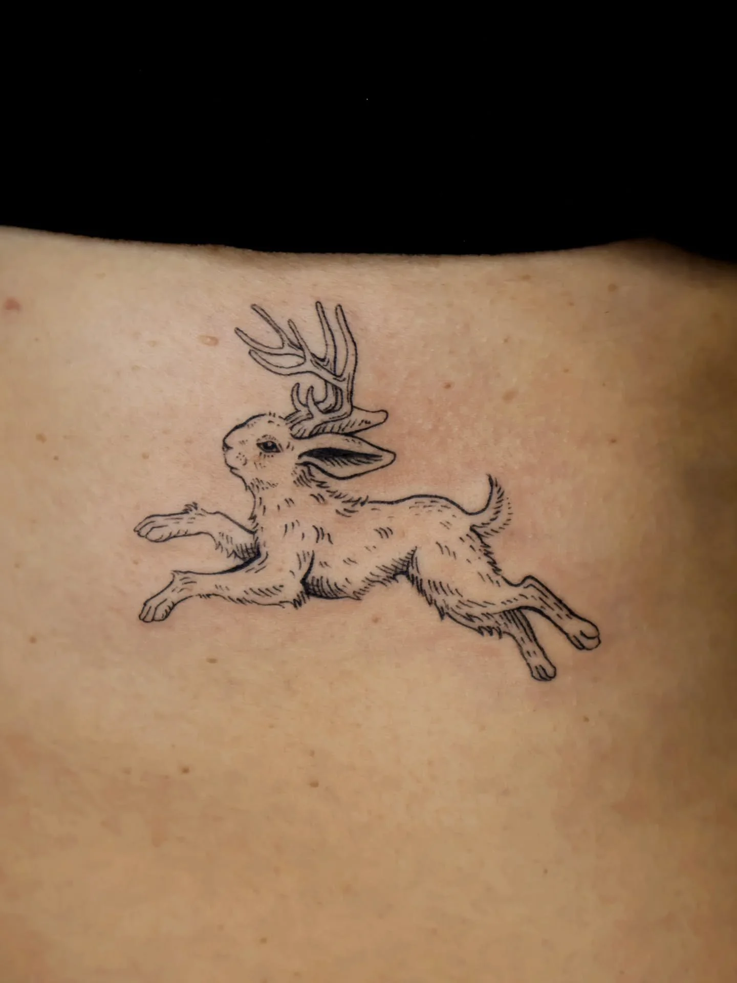 A custom Jackalope tattoo for C! I love them so much 😍 Would love to do more animals in this vintage illustrative style!!
.
#jackalopetattoo #customtattoo #animaltattoo #vintagestyletattoo #linetattoo #naturetattoo #funtattoo #brooklyntattoo #nyctat