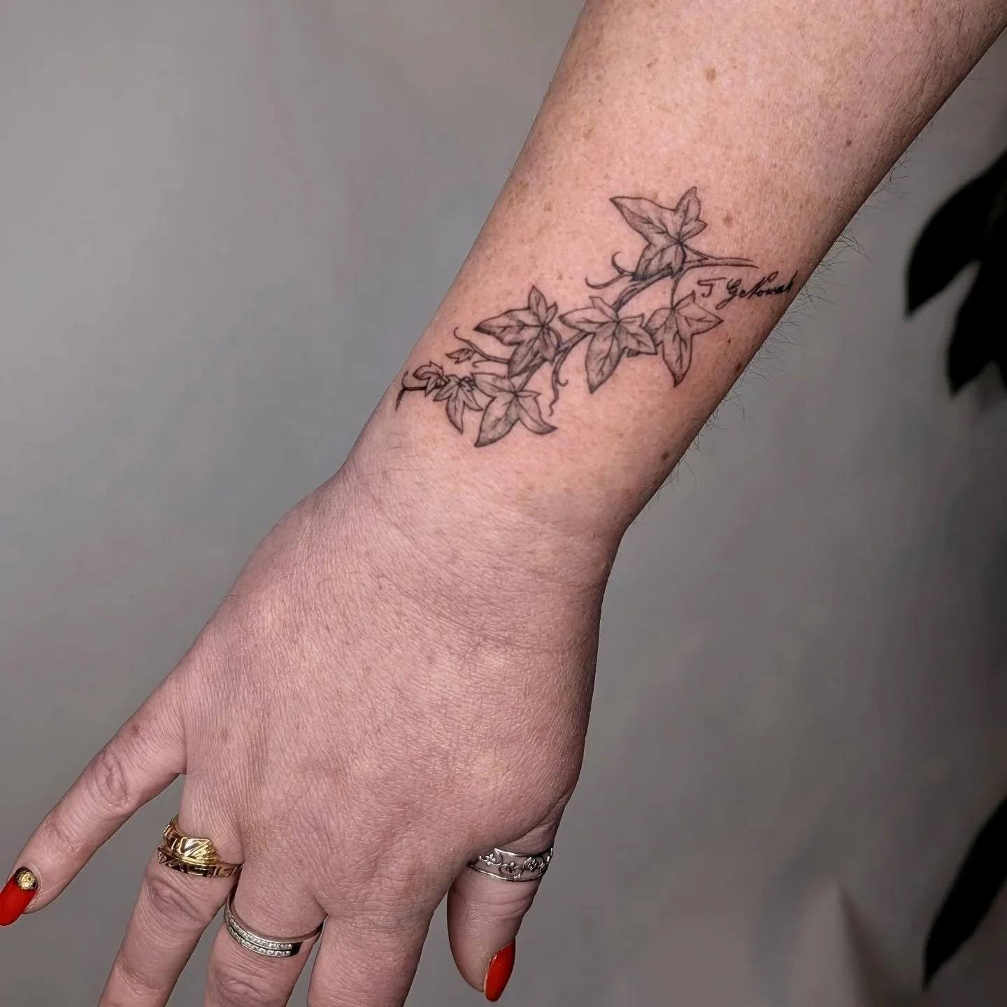 Sweet branch of ivy vines to honor her grandmother, with her grandfathers signature tucked in the top corner too! So sweet 😍 lovely to meet you and thank you for stopping by!!
.
#ivytattoo #planttattoo #naturetattoo #vinetattoo #blackandgreytattoo #