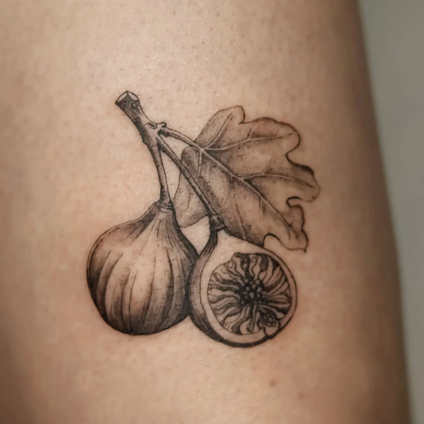 Vintage-style figs for A! Loved doing these!! Thank you for your trust!!
.
#figtattoo #fruittattoo #naturetattoo #botanicaltattoo #vintagestyletattoo #vintageillustrationtattoo