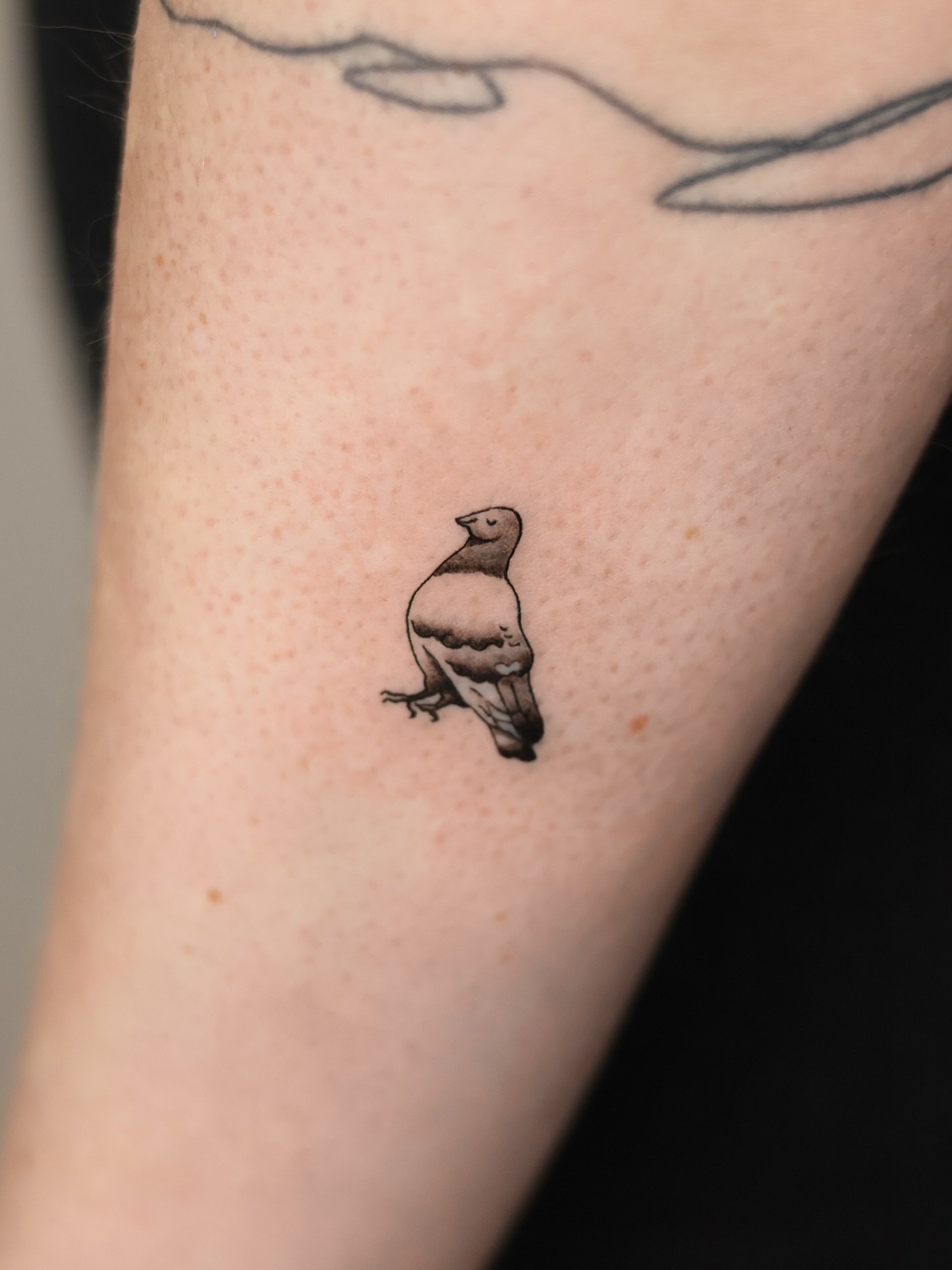 The cutest little pigeon for one of the sweetest clients I&rsquo;ve had. It was a group walk-in, and they all got pigeons🐦 I&rsquo;m so happy I got to do this little guy!

Done at @nicetattooparlor ! If you&rsquo;re feeling like a spontaneous tattoo