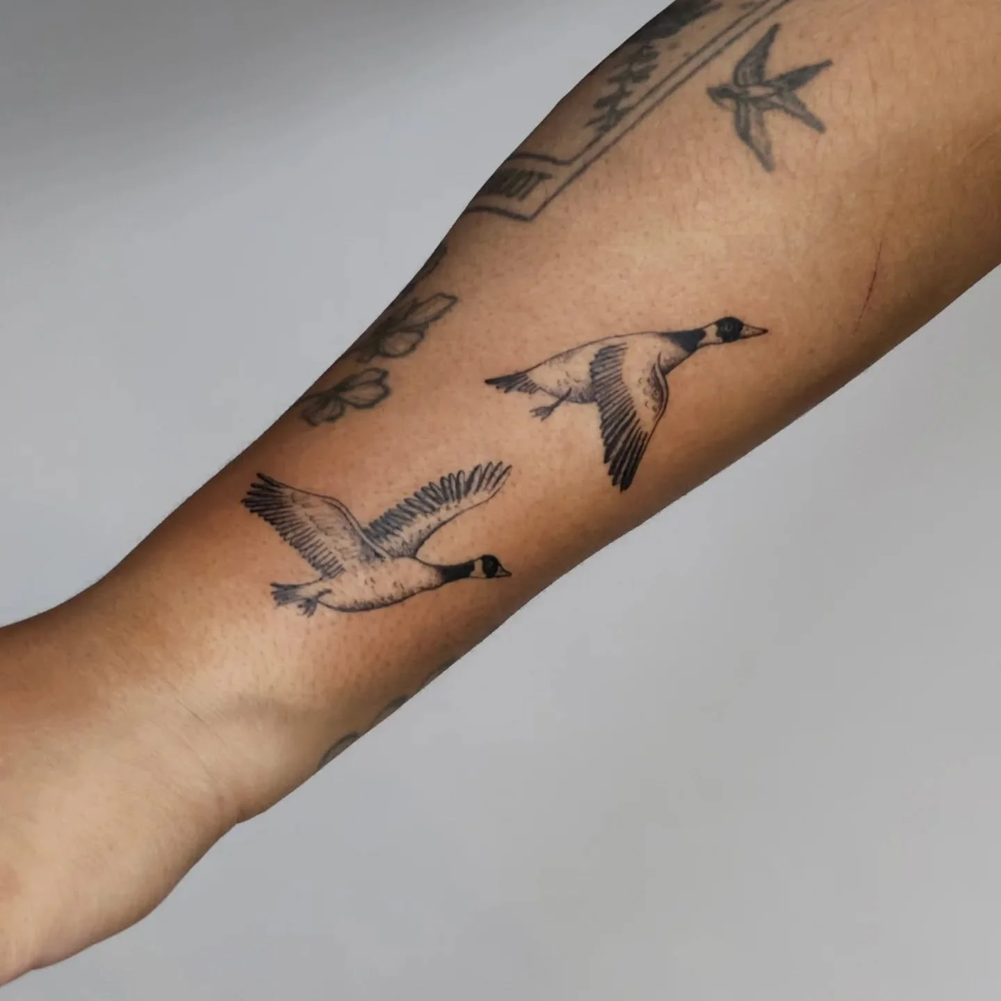 A pair of geese taking off!! From my flash sheet, but customize for the size, adding some extra details! Thank you for picking this one, it was lovely to finally do!!
.
#flashtattoo #geesetattoo #goosetattoo #birdtattoo #animaltattoo #naturetattoo #v