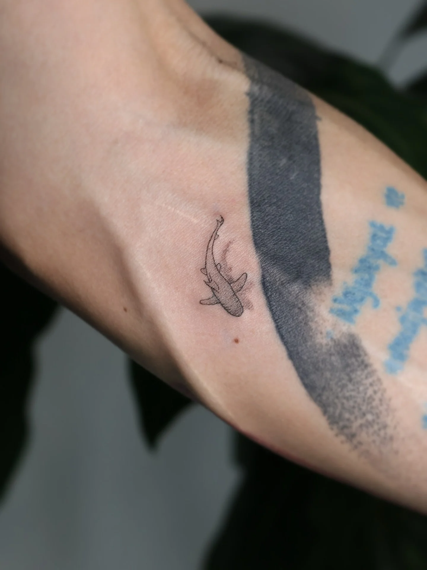 Little Great White Shark 🦈 from my unreleased Minis Flash. Stay tuned for the release tomorrow ;)

Done at @nicetattooparlor 

Bookings are open for December and January 💌

#fineline #finelinetattoo #finelinetattooartist #nyctattoo #explore