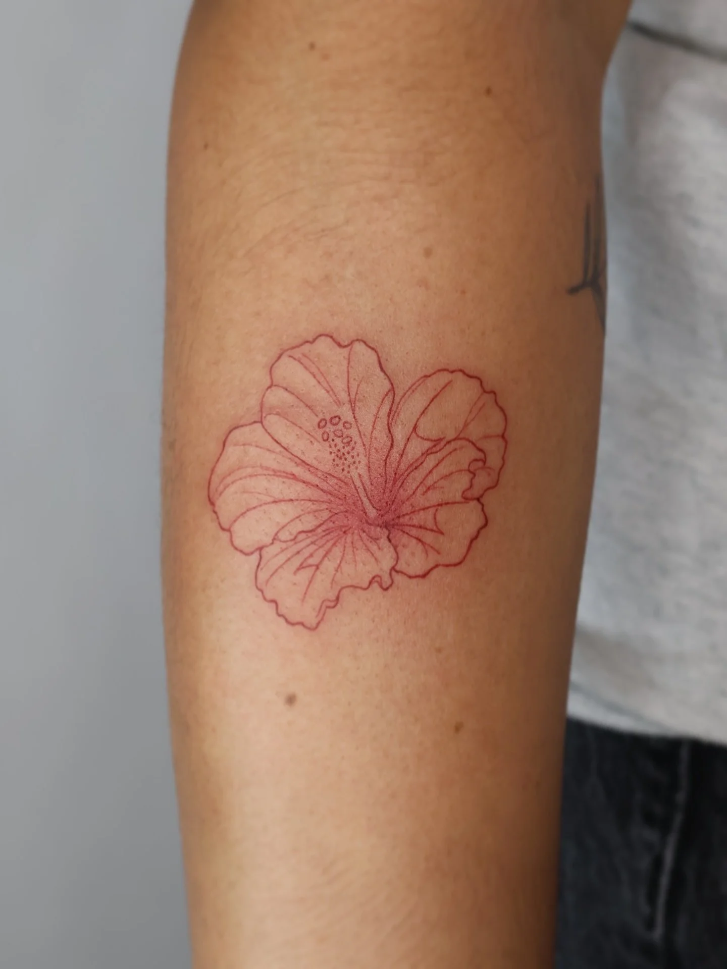 Un recuerdo de casa🇵🇷 A &ldquo;Flor de Maga&rdquo;, Puerto Rico&rsquo;s national flower, tattoo for @dumble.tor 

It was a pleasure working with you. It felt like being back home, back when I would yap my friends&rsquo; ears off while I worked on m